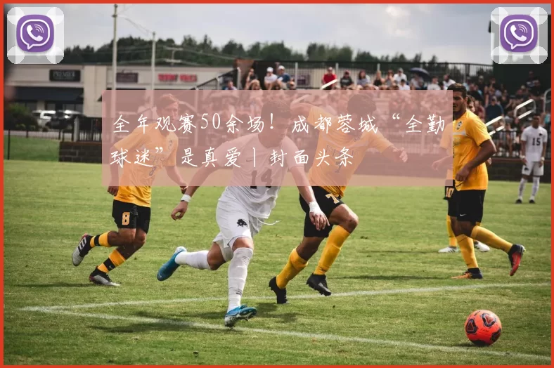 全年观赛50余场！成都蓉城“全勤球迷”是真爱丨封面头条